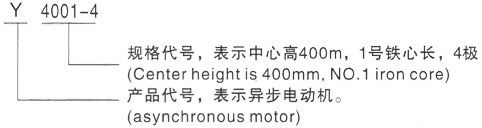 西安泰富西玛Y系列(H355-1000)高压YJTFKK5001-6-560KW三相异步电机型号说明